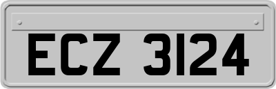 ECZ3124