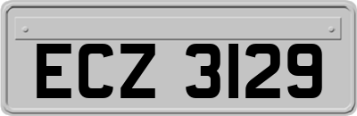 ECZ3129
