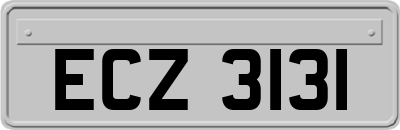 ECZ3131