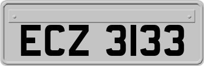 ECZ3133