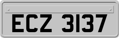 ECZ3137