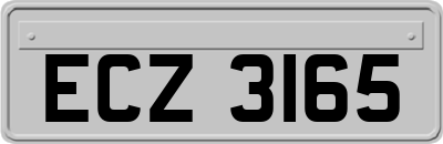 ECZ3165