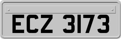 ECZ3173