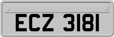 ECZ3181