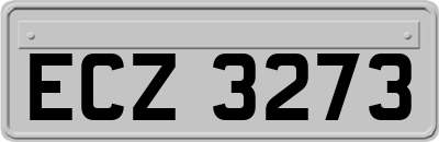 ECZ3273