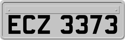 ECZ3373