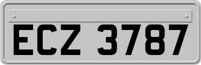 ECZ3787