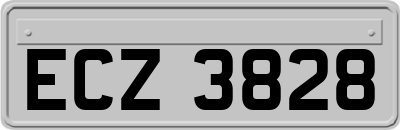 ECZ3828
