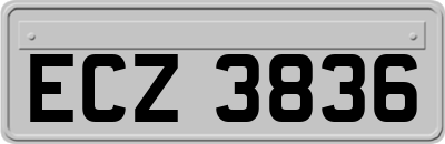 ECZ3836