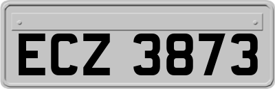 ECZ3873