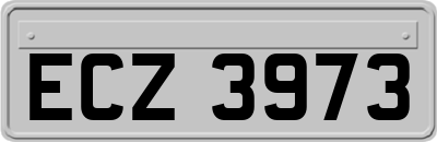 ECZ3973