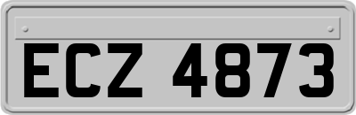 ECZ4873