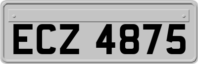ECZ4875