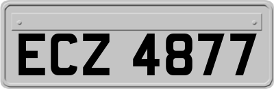 ECZ4877