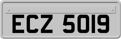 ECZ5019