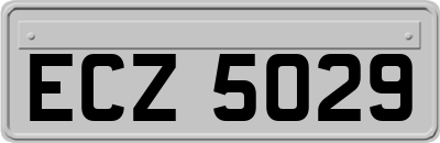 ECZ5029