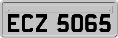 ECZ5065
