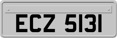 ECZ5131