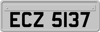 ECZ5137
