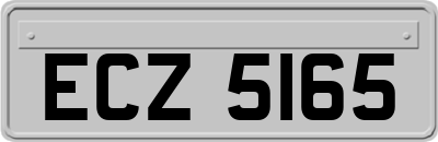 ECZ5165