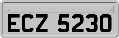 ECZ5230
