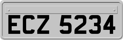 ECZ5234