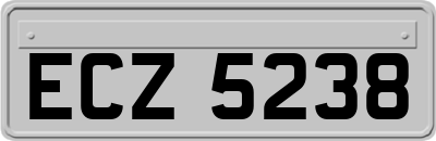 ECZ5238