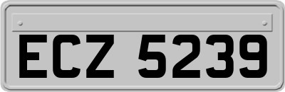ECZ5239