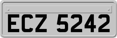 ECZ5242