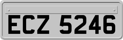 ECZ5246