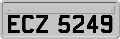 ECZ5249