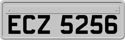 ECZ5256