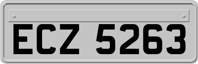 ECZ5263