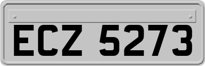 ECZ5273