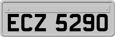 ECZ5290