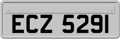 ECZ5291
