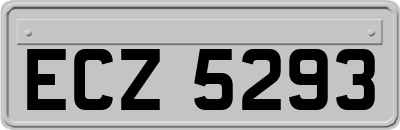 ECZ5293