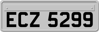 ECZ5299
