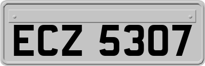 ECZ5307