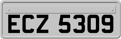 ECZ5309