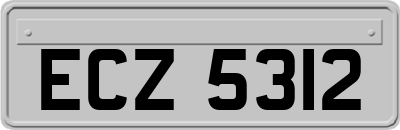 ECZ5312