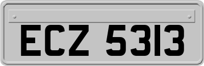 ECZ5313