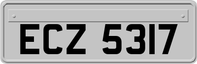 ECZ5317