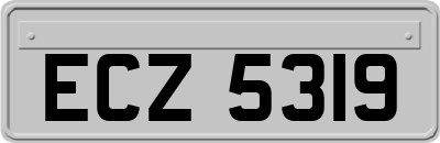 ECZ5319