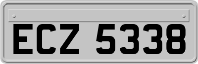 ECZ5338