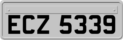 ECZ5339
