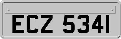 ECZ5341