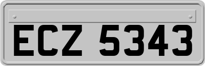ECZ5343