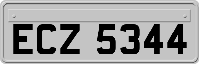 ECZ5344