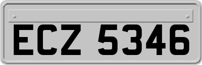 ECZ5346